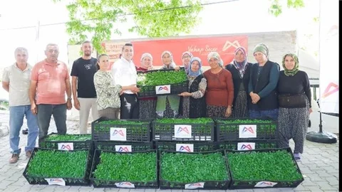 BÜYÜKŞEHİR GÜLNAR’DA 105 BİN DOMATES FİDESİ DAĞITTI