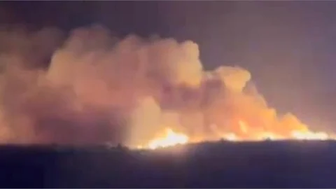 MERSİN'DE GÜLNAR VE SİLİFKE'DE YANGIN