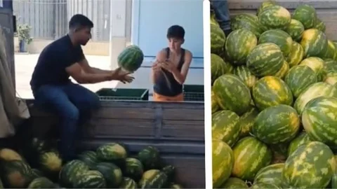 MERSİN'DE 15 KAMYON KARPUZ DAĞITILACAK