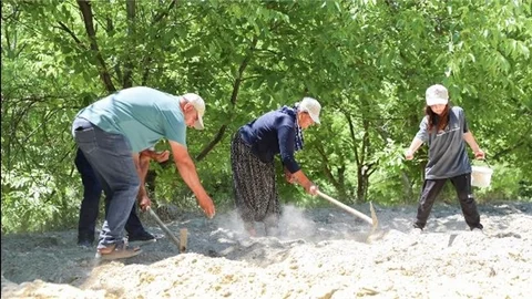 ATALIK TOHUMLARIN YOLCULUĞUNA EŞLİK EDİYOR
