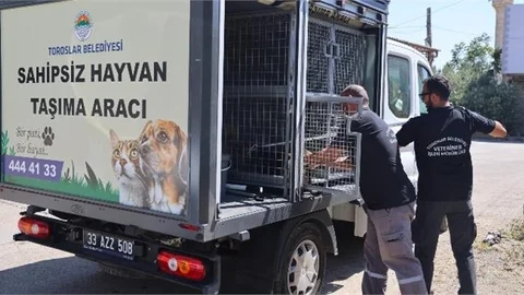 TOROSLAR BELEDİYESİNİN VETERİNER İŞLERİ MÜDÜRLÜĞÜ ÇALIŞMALARINA BAŞLADI