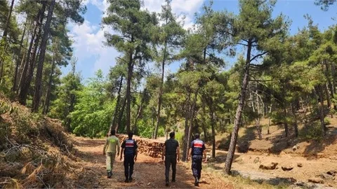 MERSİN JANDARMASINDAN ORMANLARA SIKI KORUMA