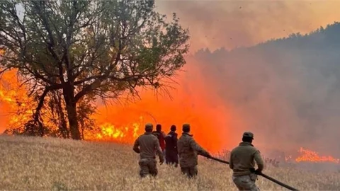 YERLİKAYA: "61 ORMAN YANGININDA 23 ŞÜPHELİ GÖZALTINA ALINDI, 4'Ü TUTUKLANDI"