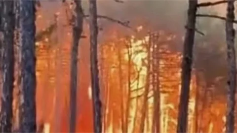 ESKİŞEHİR'DE YANGINDA 10 ORMAN İŞÇİSİ ŞEHİT OLDU