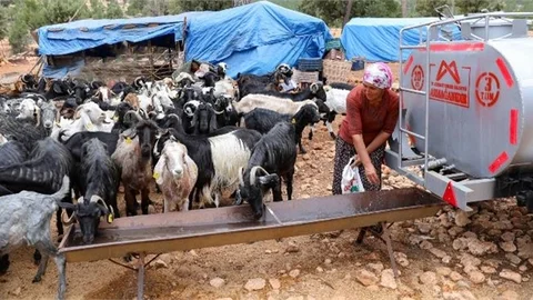 BÜYÜKŞEHİR, ‘SULAMA TANKERİ’ DESTEĞİYLE YETİŞTİRİCİYE CAN SUYU OLUYOR