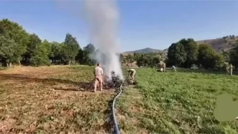 DİYARBAKIR'DA 4 MİLYON 459 BİN ADET KÖK KENEVİR VE SKUNK İLE 150 KİLO ESRAR ELE GEÇİRİLDİ