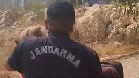 JANDARMA ORMAN YANGININDA GÖREVDE