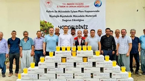 Çamlıyayla'da Akdeniz Meyve Sineğine Karşı Çevre Dostu Mücadele