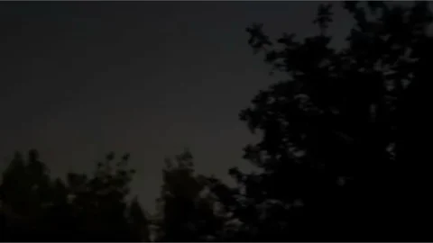 Toroslar 68’liler Ormanında Karanlık Tepki Çekti