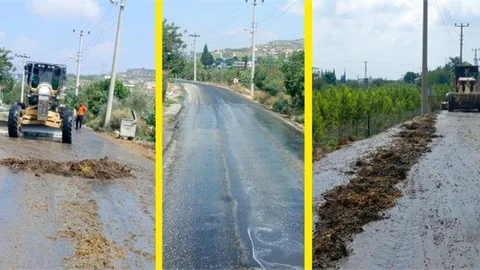 YOLA DÖKÜLEN ÜZÜMLER BÜYÜKŞEHİR EKİPLERİNCE TEMİZLENDİ