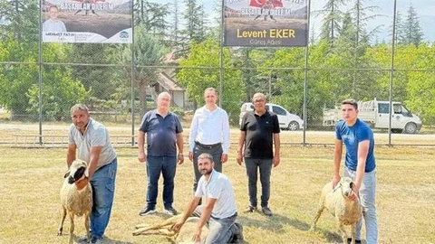 Çamlıyayla'da Karakucak Güreşleri Hazırlığı Başladı