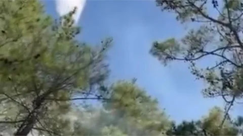 Anamur'da Orman Yangını