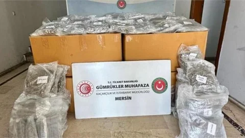 Mersin Limanı'nda 587 Kilogram Esrar Yakalandı
