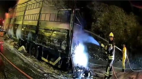 Tarsus - Pozantı Yolunda Kuruyemiş Yüklü TIR Alevlere Teslim Oldu