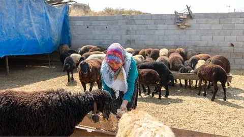 Büyükşehir’le Köyden Kente Göç Yok, Üretim Var