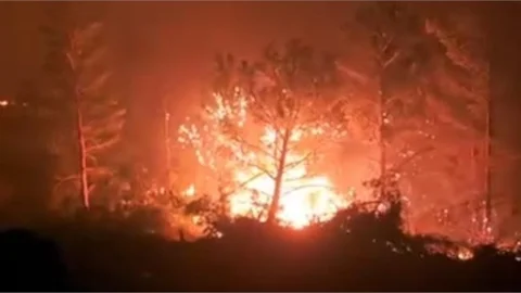Silifke'de 3 Ayrı Nokta da Çıkan Orman Yangını Devam Ediyor