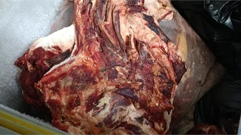 Akdeniz'de Zabıta Ekipleri Bozulmuş Et Ele Geçirildi