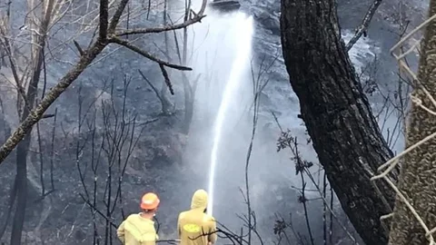 Adana'da 3 Ayrı Noktada Orman Yangını Söndürüldü