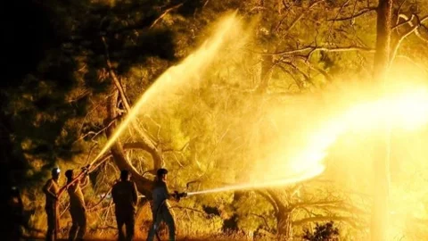 Silifke'de Orman Yangınıyla İlgili 4 Şüpheli Tutuklandı