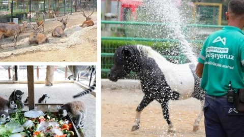 Tarsus Doğa Parkında Hayvanlar Serinletiliyor