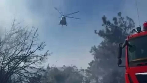 Mersin Mezitli Tol Mahallesinde Ormanlık Alanda Yangın