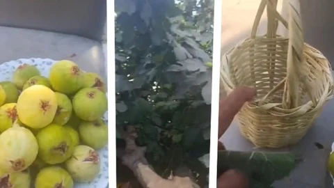 Mersin Erdemli'deki İncir Videosu İçin "Hepimiz Bir Değiliz" Çeşmeli’de Satıcıdan Tepki Videosu