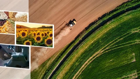 86 Milyon Liralık Tarımsal Destekleme Ödemesi Hesaplara Aktarılıyor