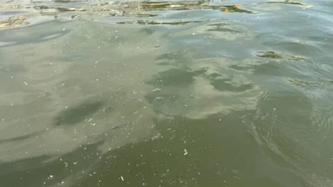 Mersin’de Denizde Öğütülmüş Çöp Şoku: Vatandaşlardan Tepki