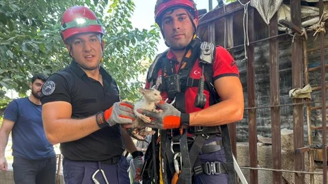Mersin Büyükşehir İtfaiyesi Yavru Kediye Yeniden Yaşam Umudu Oldu