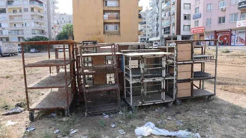 Akdeniz’de Kanatlı Hayvan Satışına Sıkı Denetim
