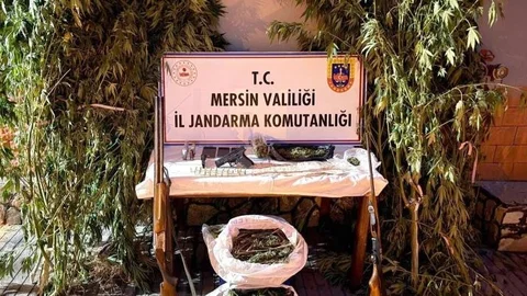 Mersin’de Yasadışı Ekim Operasyonu