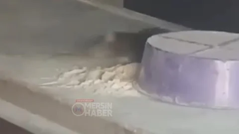 Fırında Hijyen Skandalı: Tezgahta Fare