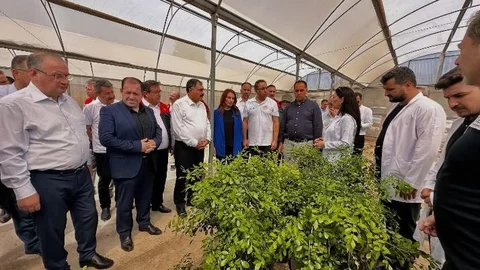 Mersin'de Tarımda Gelecek Biyolojik Mücadeleyle Şekilleniyor