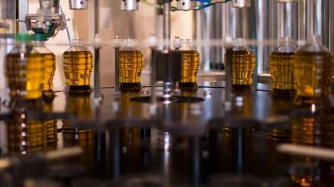 Zeytinyağı Fiyatları Artıyor! Üretici 2025’i ‘yok Yılı’ İlan Etti