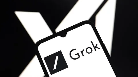 Şok: Grok’a Erişim Engeli Geldi, X Kararı Uygulamadı!