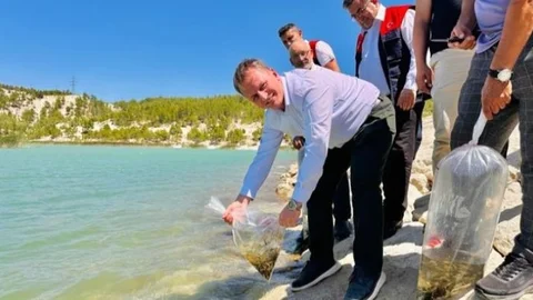 Mersin'de 32 Bin Sazan Yavrusu 18 Farklı Su Kaynağına Bırakıldı