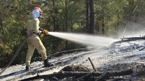 Feke ve Kadirli'de Orman Yangınları Kontrol Altına Alındı