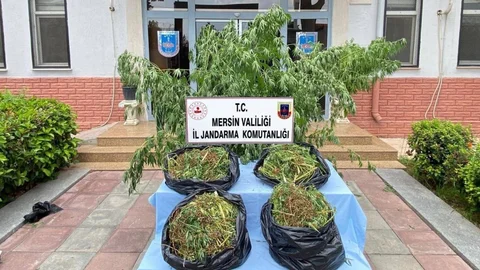 Mersin'de Jandarma'dan Zehir Ticaretiyle Etkin Mücadele: 10 Şüpheli Yakalandı