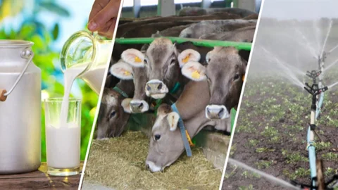 4.5 Milyar Liralık Destekleme Ödemesi