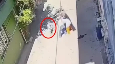 Feci Manzara: 3 Kadın, Kucağında Çocuğu Olan Anneyi Tekme Tokat Darp Etti