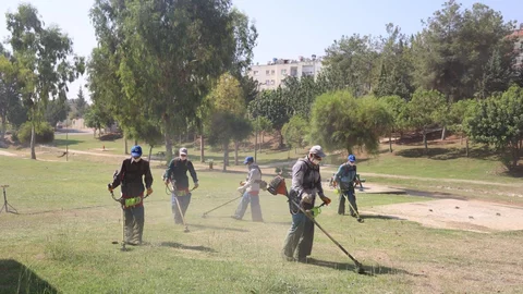 Toroslar Belediyesi Yeşil Alanların Bakımını Titizlikle Sürdürüyor