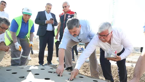 Mersin'de Yeni Sezonun İlk Salep Yumruları Toprakla Buluştu