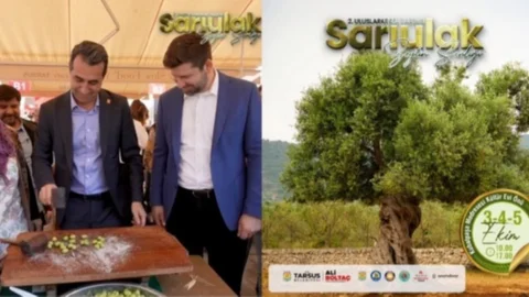 Tarsus'ta Sarıulak Zeytin Şenliği 3 Ekim'de Başlıyor