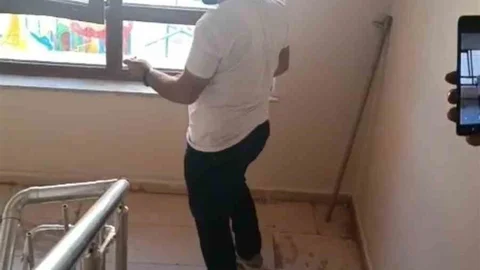 Şırnak'ta apartmanda yılan paniği