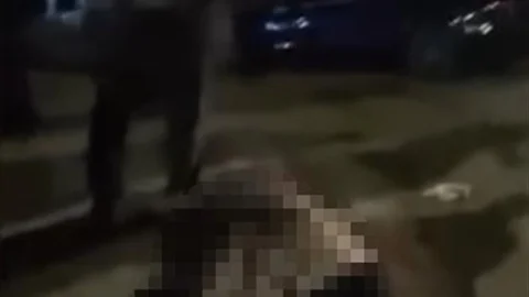 Muş-Bitlis yolunda yaşanan trafik kazasında bir kadın hayatını kaybetti