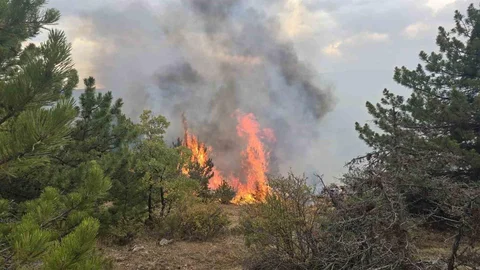 Konya’da orman yangını söndürüldü