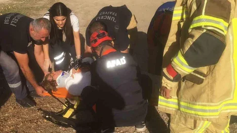 Tunceli'de trafik kazası yaşandı