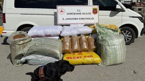 Gümüşhane'de kaçak tütün operasyonu