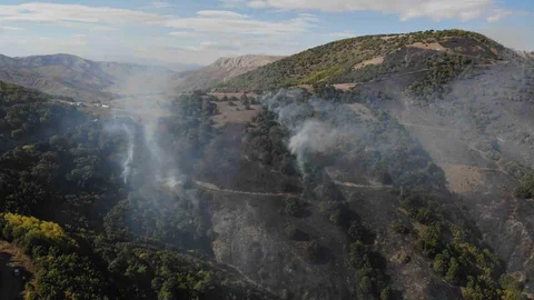 Gümüşhane'de orman yangınında 30 hektar alan küle döndü