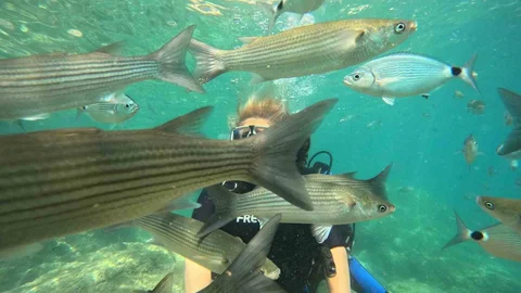 Marmaris'te dalış turizmine yoğun ilgi